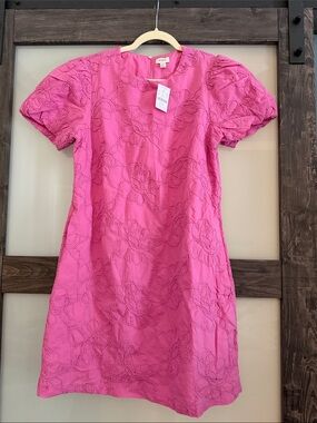 $148 msrp NWT J. Crew Pink Embroidered puff sleeve Mini Dress size 8